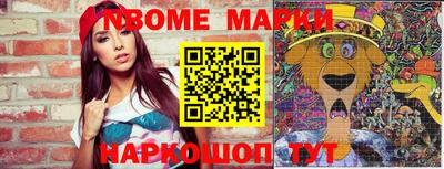 сатива Новозыбков