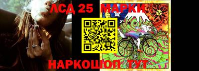 сатива Новозыбков
