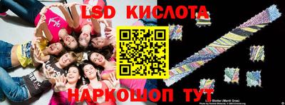 сатива Новозыбков