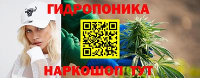 трава Новодвинск