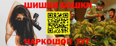 сатива Новозыбков