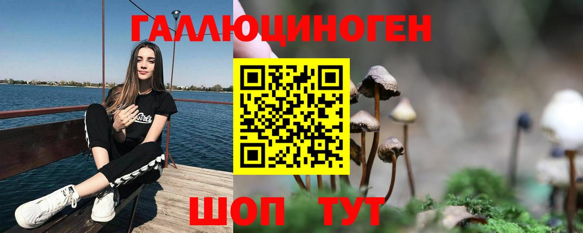 Тара  Псилоцибиновые грибы GOLDEN TEACHER  Псилоцибиновые грибы мухоморы  Вход с VPN 